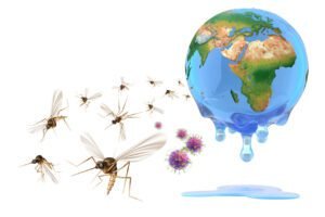 Mosquitoes