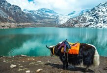 Nathula pass from gangtok, 7 more popular places in east Sikkim sikkim gangtok