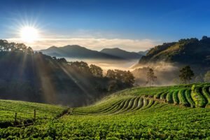 Darjeeling Tour Packages : landscape of Darjeeling 