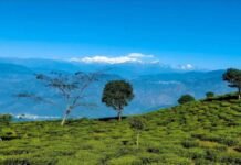 Tinchuley-Offbeat Darjeeling-tinchuley homestay-Darjeeling, India dawaipani darjeeling