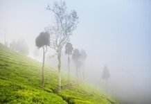 Offbeat Darjeeling-Mirik The Beautiful Place Of Darjeeling Mirik in darjeeling