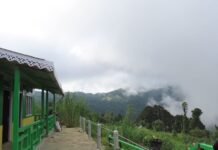 chatakpur darjeeling-chatakpur homestay-Offbeat Darjeeling Chatakpur darjeeling