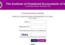 Meet the Top Scorers of ICAI Result November 2023 for CA Final and Inter Exams ICAI