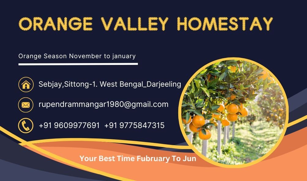 sittong orange valley homestay sittong west bengal