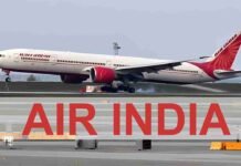 Air India flight bird hit