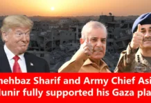 Trump Gaza Peace Plan
