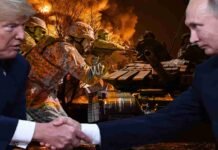 Trump-Putin Peace Talks