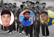 Afghan cricketers killed