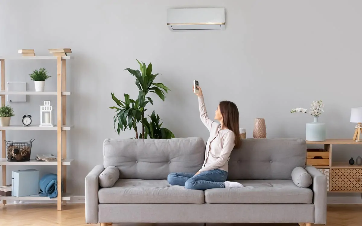 Best Blue Star AC Models